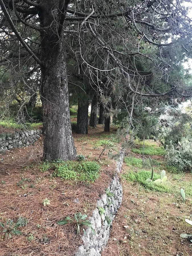 Casa Vacanze Etna Piedimonte Etneo 0*,